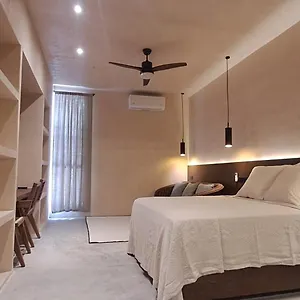 Mid-498 Centro Apartment