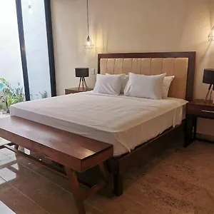 Casa Cardenales Apartment